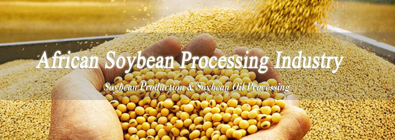 African soybean processing industry 