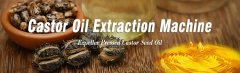 Extraction et Production d’Huile de Ricin : Solutions Clés en Main par KMEC