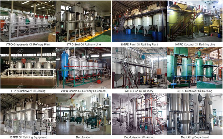 edible oil refining project report 