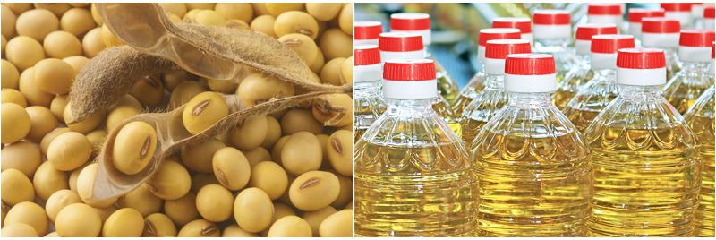 soybean oil production potential in Africa 